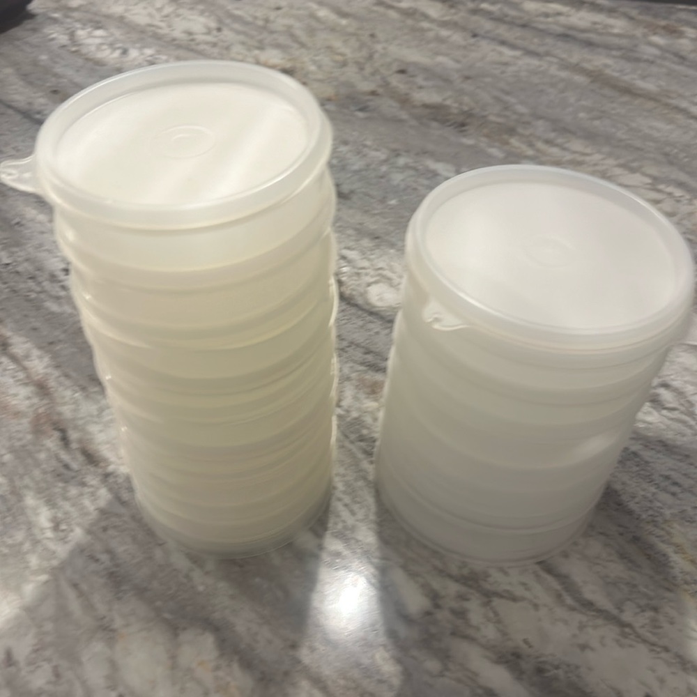 Set of vintage Tupperware hamburger freezer storage containers.